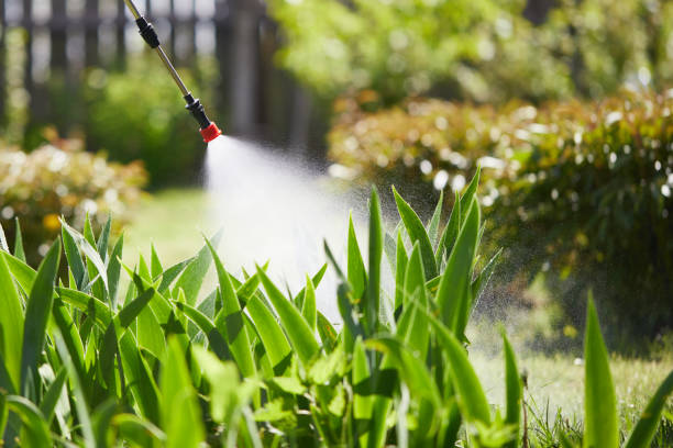24/7 Emergency Mosquito Control experts in Earlimart, CA
